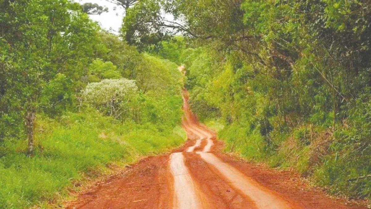 El Senado quitó cambios a la Ley de Tierras y el proyecto seguirá en Diputados