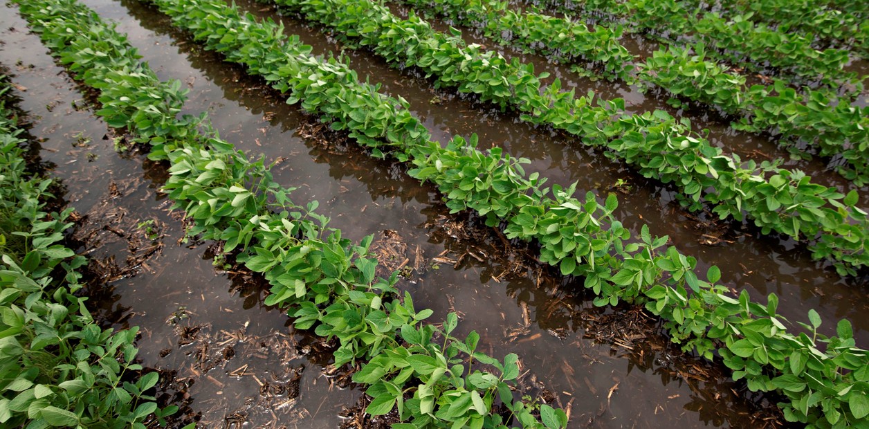 Prevén más lluvias en Misiones desde fines de agosto por El Niño
